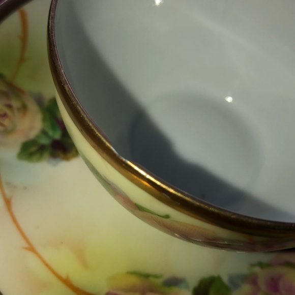 Royal Rudolstadt Prussian rose pattern gold trim tea cup and saucer Victorian - Picture 3 of 15